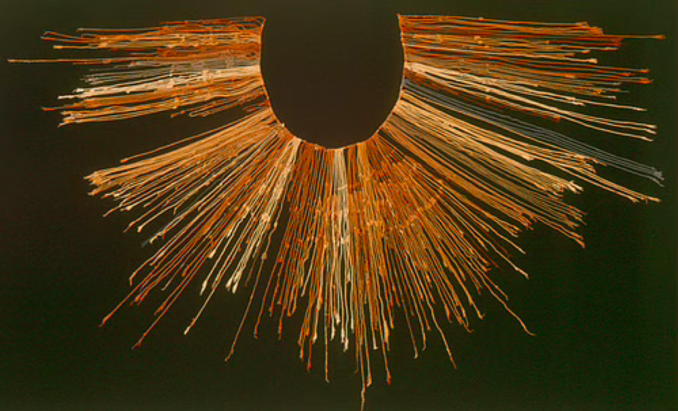 A picture containing fireworks, outdoor object, plant
Description automatically generated